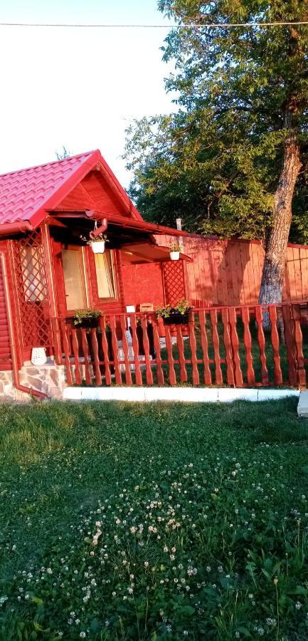 Pensiunea Tinelu Brasov Săcele Esterno foto